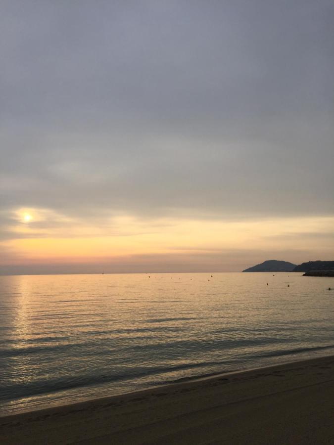 아르젤레쉬르메르 Les Pieds Dans Le Sable 아파트 외부 사진